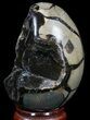 Septarian Dragon Egg Geode - Black Calcite Crystals #33992-2